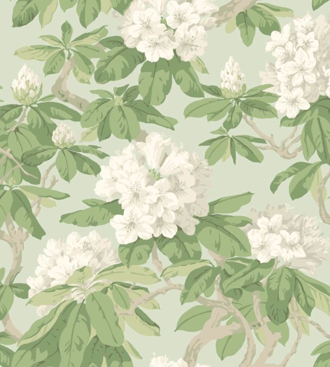 Bourlie Wallpaper In 4022 By Cole Son Jane Clayton