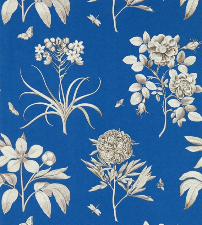 Etchings & Roses Wallpaper in French Blue by Sanderson | Jane Clayton