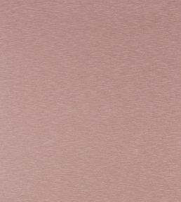 Lineate Fabric in Blush by Harlequin | Jane Clayton