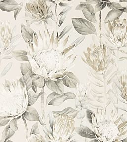 King Protea Wallpaper in Linen/Mica by Sanderson | Jane Clayton